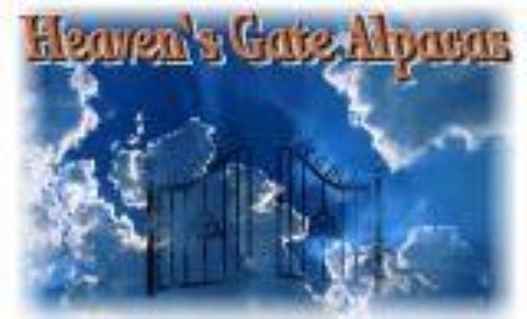 Heaven's Gate Alpacas